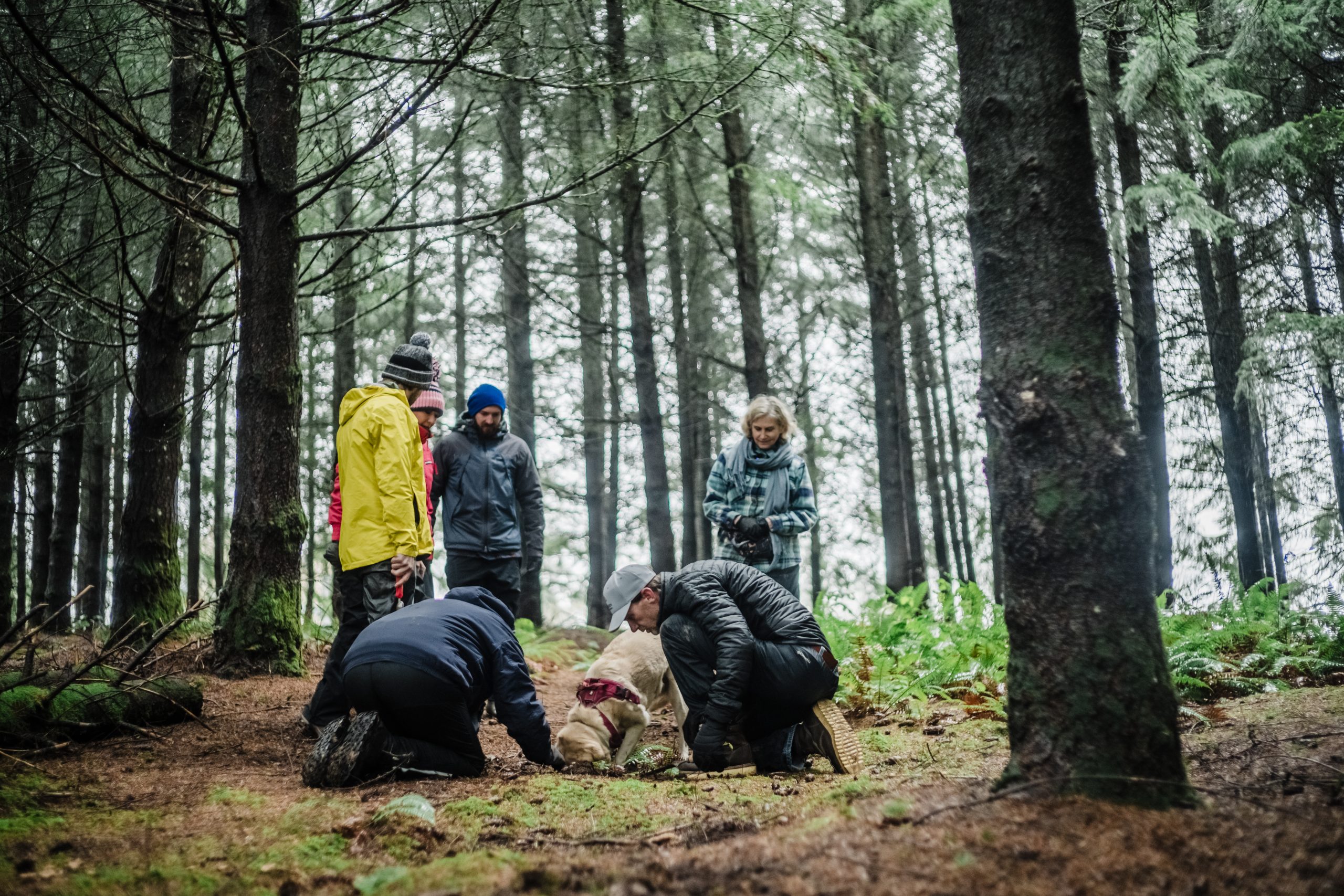 Truffle Hunting in Oregon's Willamette Valley